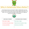 gelatinized maca v raw maca powder