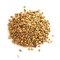 Coriander Seed